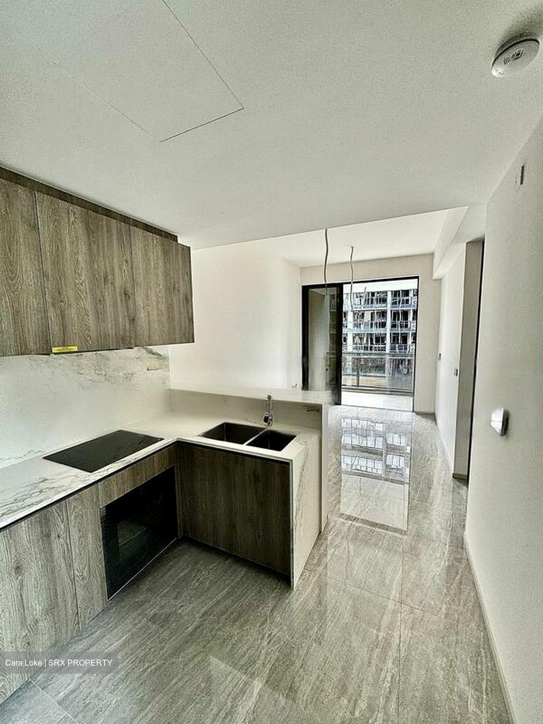 Leedon Green (D10), Condominium #459573871